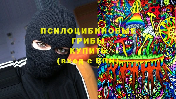 PSILOCYBIN Покров