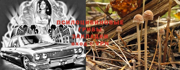 прущие крисы Покровск