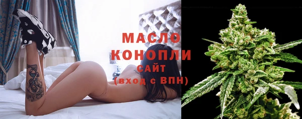 сатива Пересвет