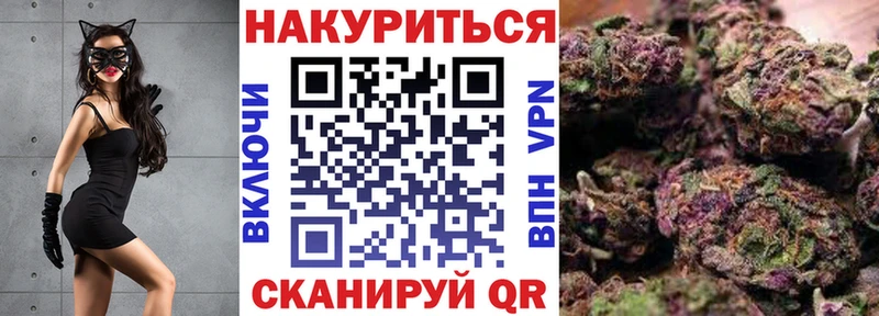 купить наркотик  Приволжск  Конопля SATIVA & INDICA 